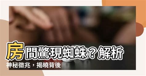 房間有蜘蛛 辦公桌布置